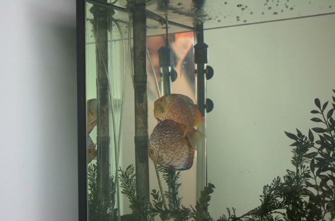 Screen Shot 2014-10-20 at 9.26.05 pm