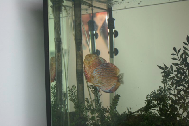 Screen Shot 2014-10-20 at 9.26.00 pm