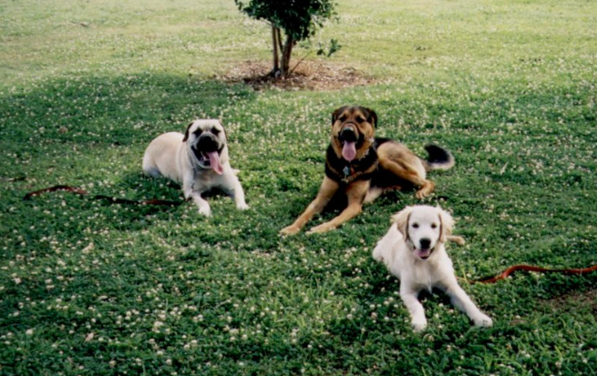 Screen Shot 2014-10-20 at 6.05.05 pm