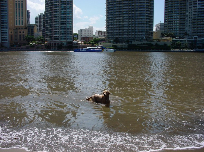 Screen Shot 2014-10-20 at 6.14.18 pm