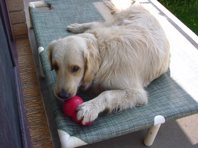 Screen Shot 2014-10-20 at 6.12.29 pm