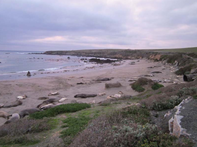 Screen Shot 2014-10-20 at 8.24.04 pm