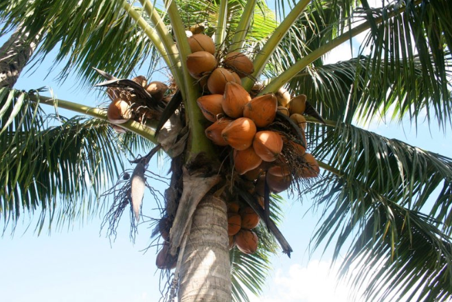 Screen Shot 2014-10-20 at 9.07.43 pm